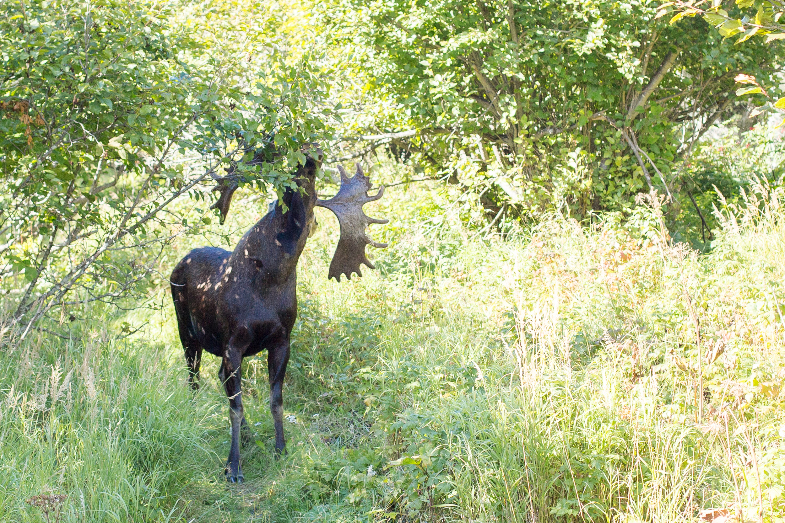 Valdez, Cordova, and Alaska's Highways
