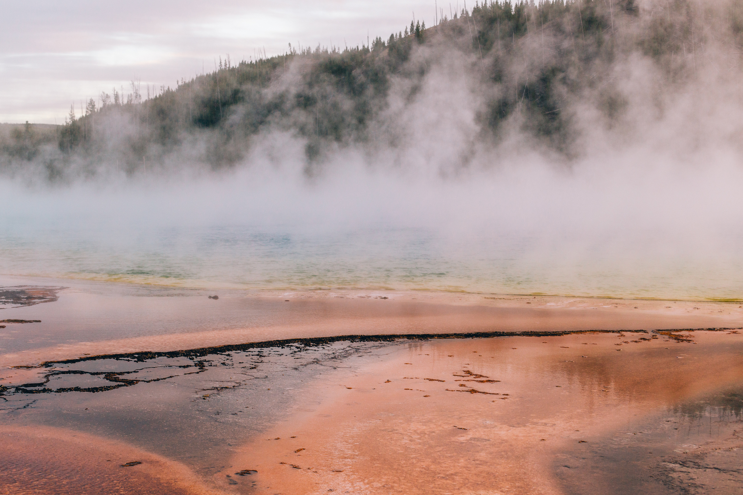 Yellowstone